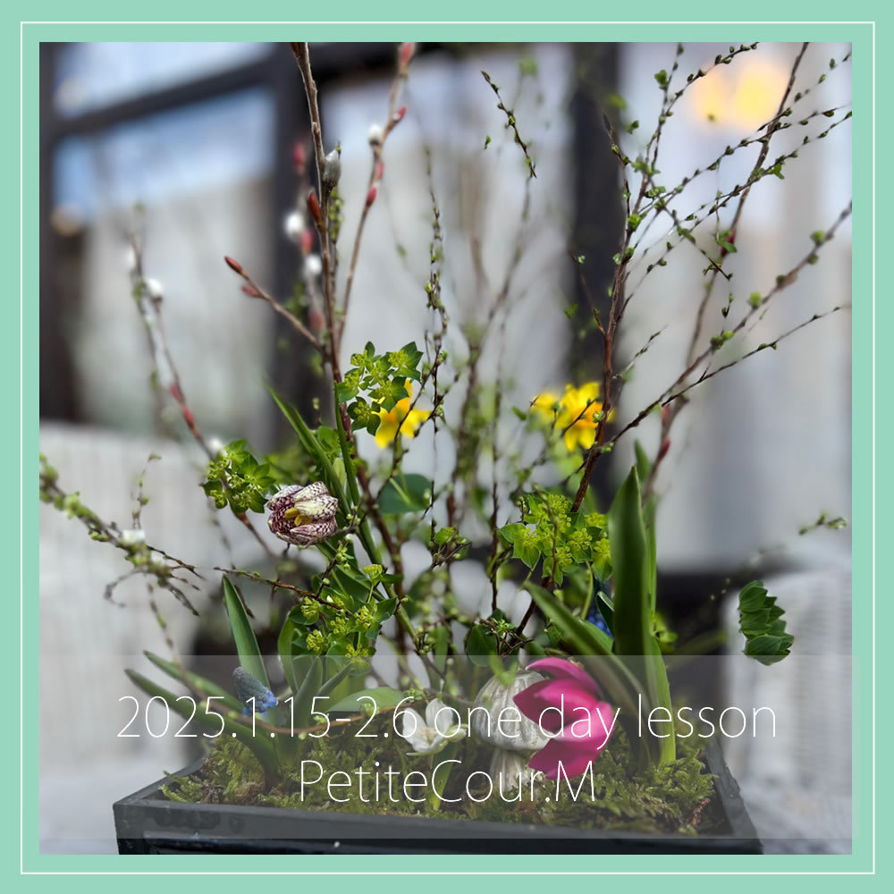 季節限定の８、９月写真