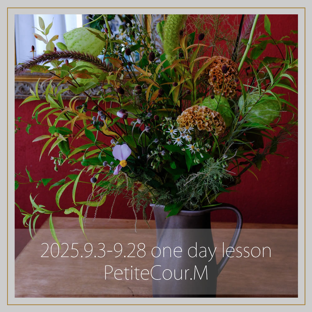 季節限定の８、９月写真