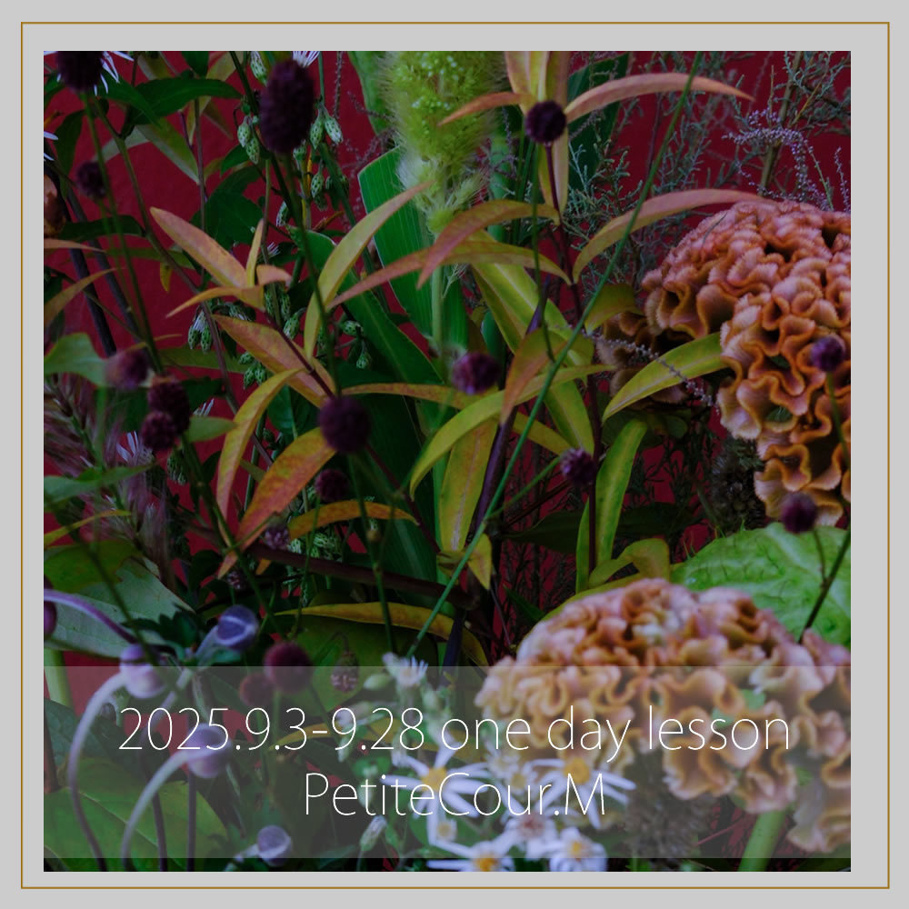 季節限定の８、９月写真