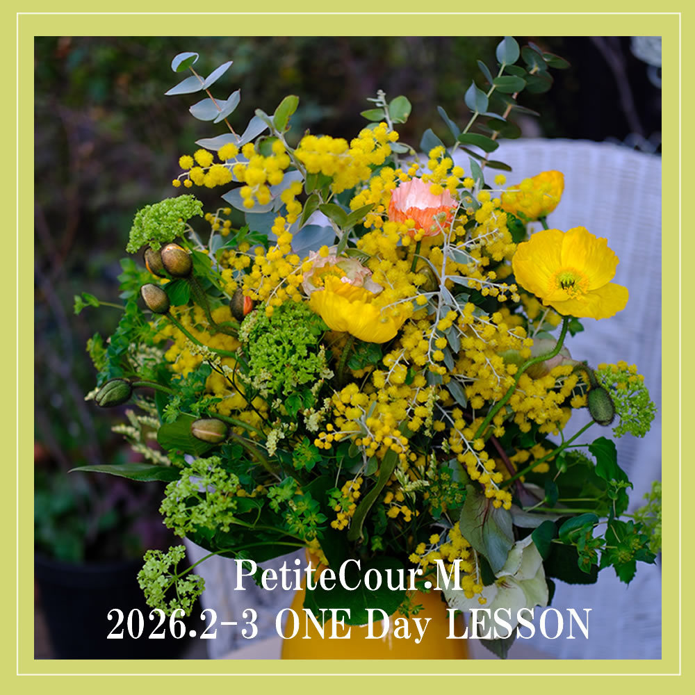 季節限定の８、９月写真