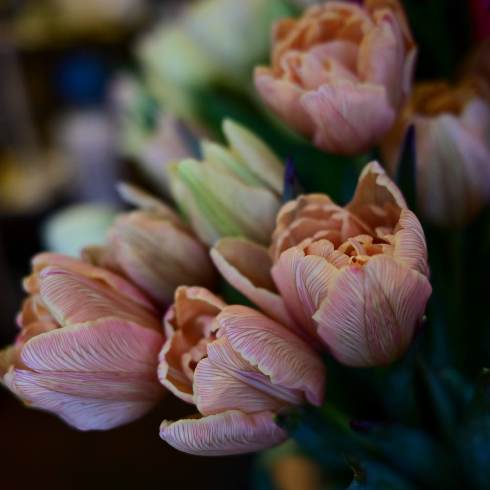 フラワーギフトブーケ・花束の写真