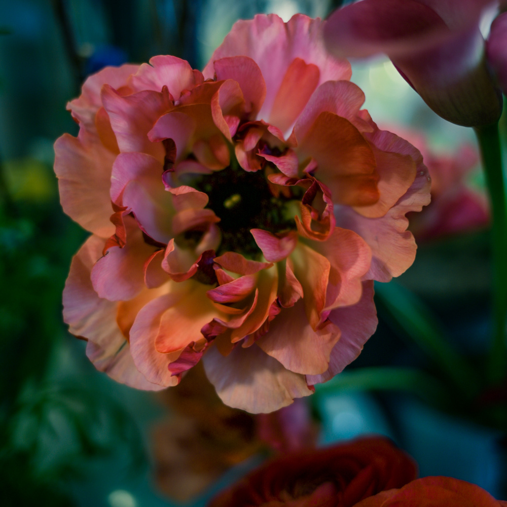 フラワーギフトブーケ・花束の写真