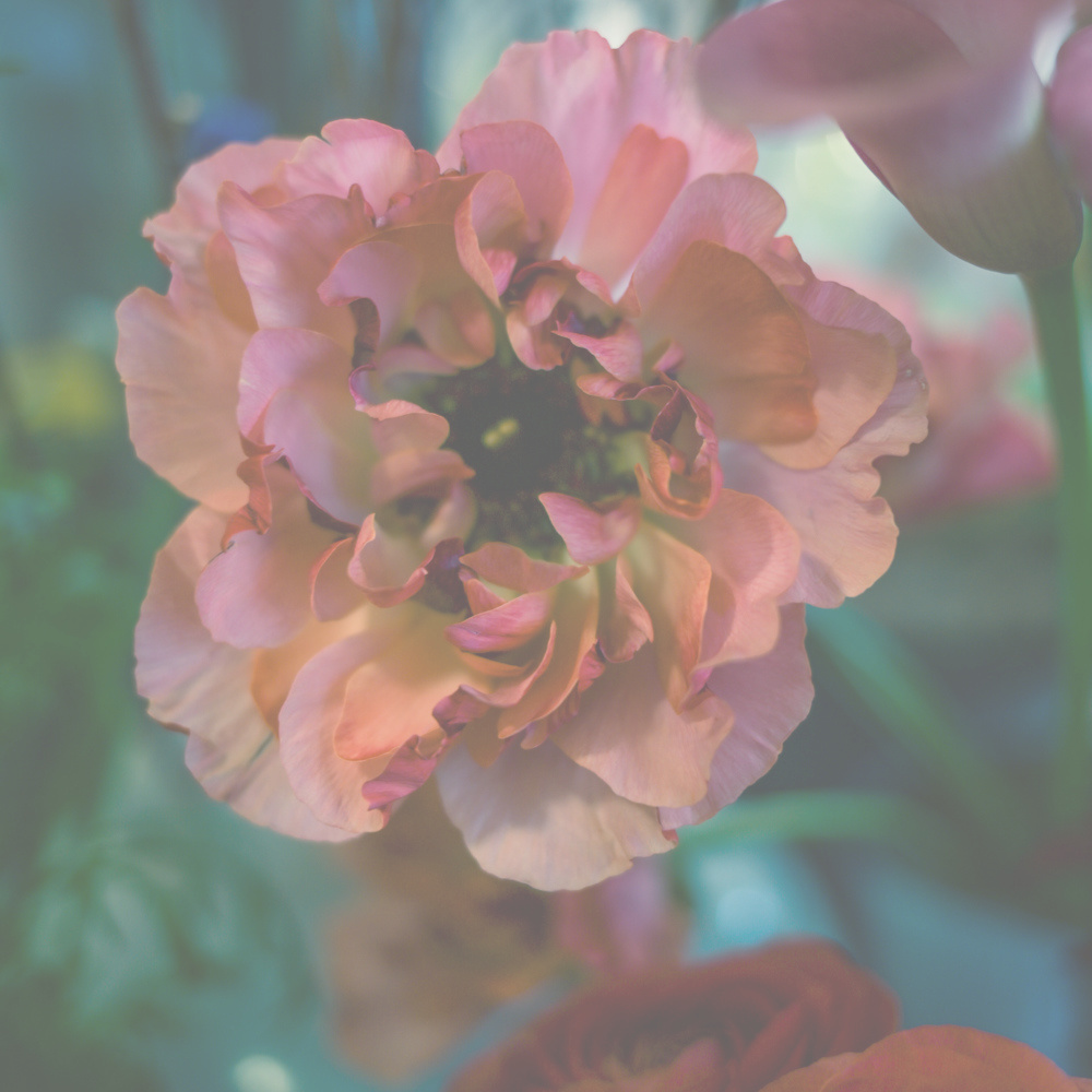 フラワーギフトブーケ・花束の写真