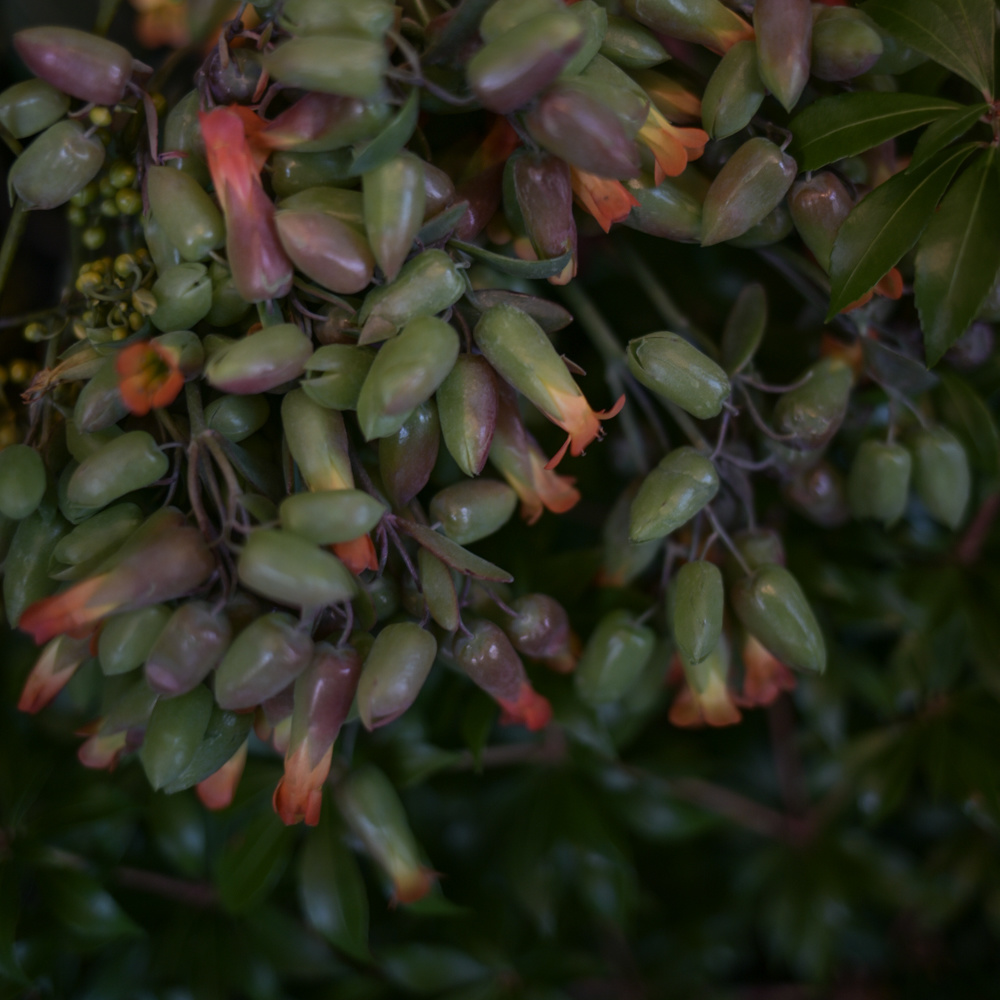 フラワーギフトブーケ・花束の写真