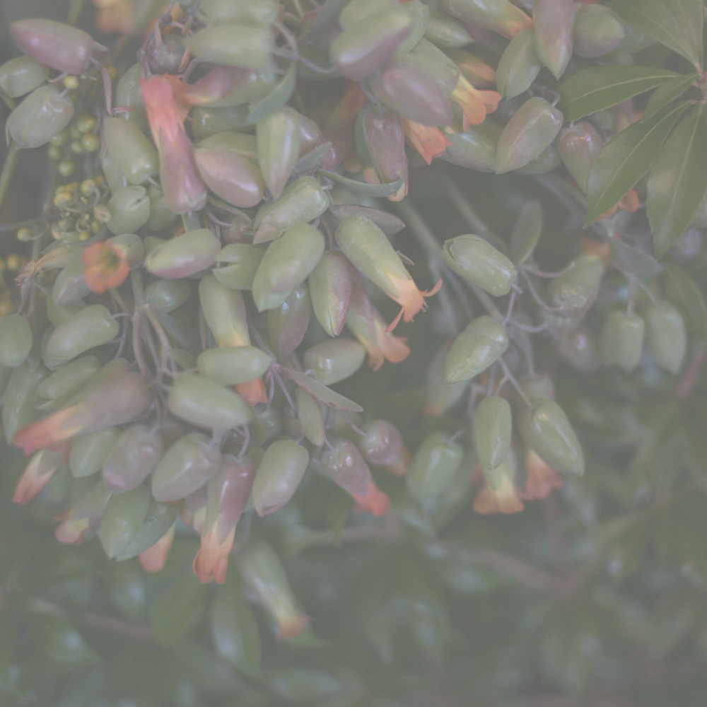 フラワーギフトブーケ・花束の写真