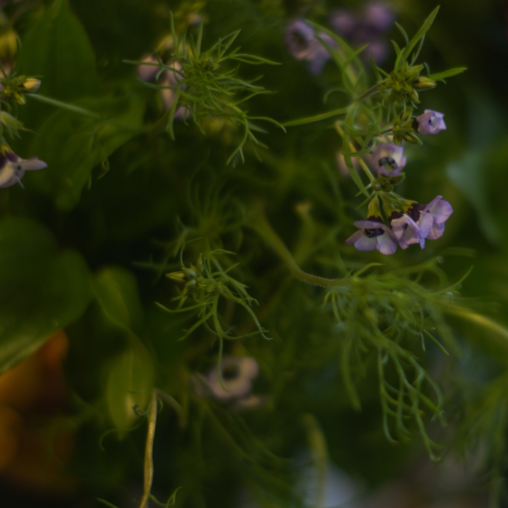 フラワーギフトブーケ・花束の写真