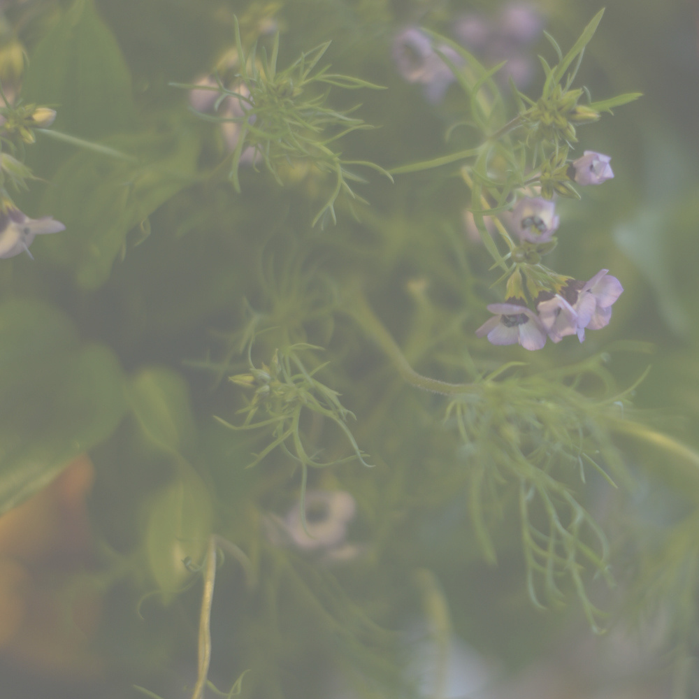 フラワーギフトブーケ・花束の写真