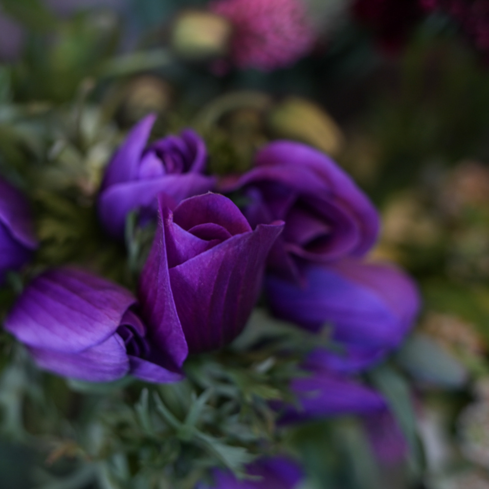 フラワーギフトブーケ・花束の写真