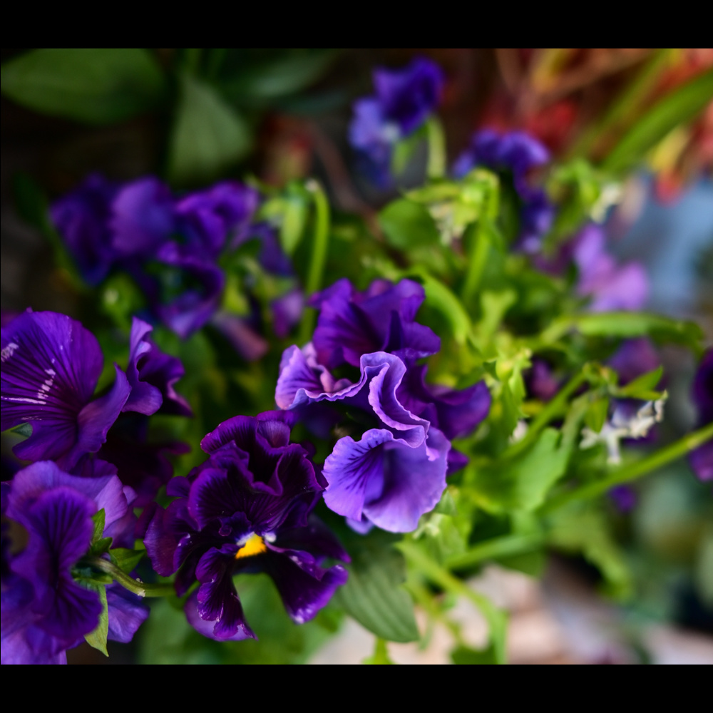 フラワーギフトブーケ・花束の写真