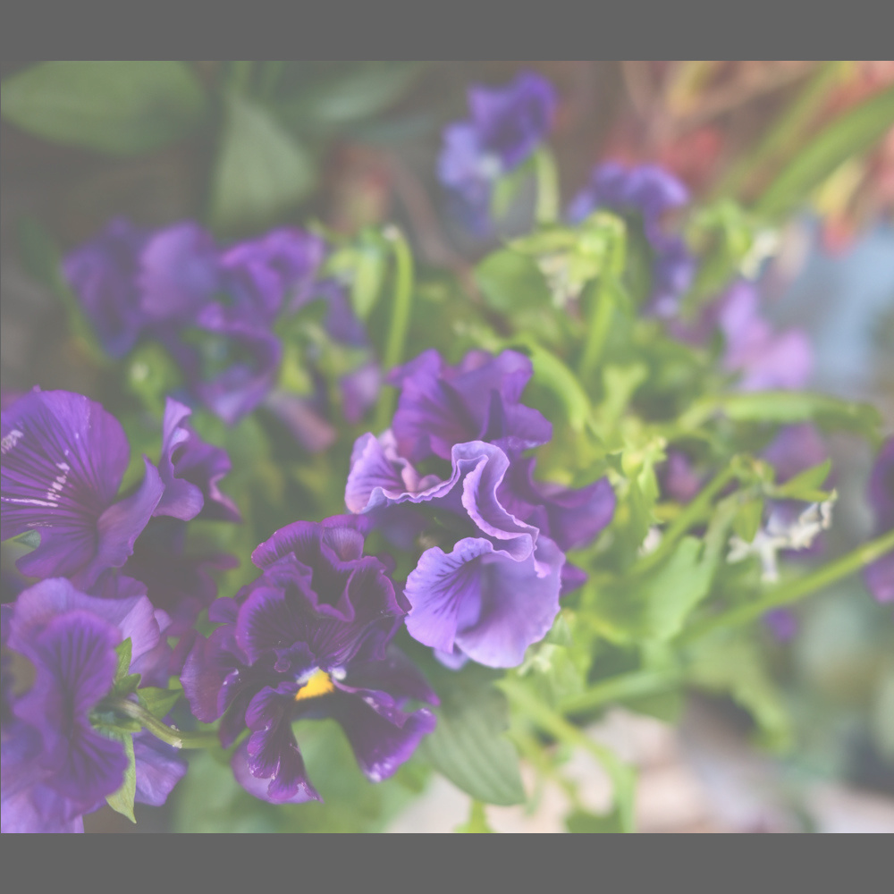 フラワーギフトブーケ・花束の写真