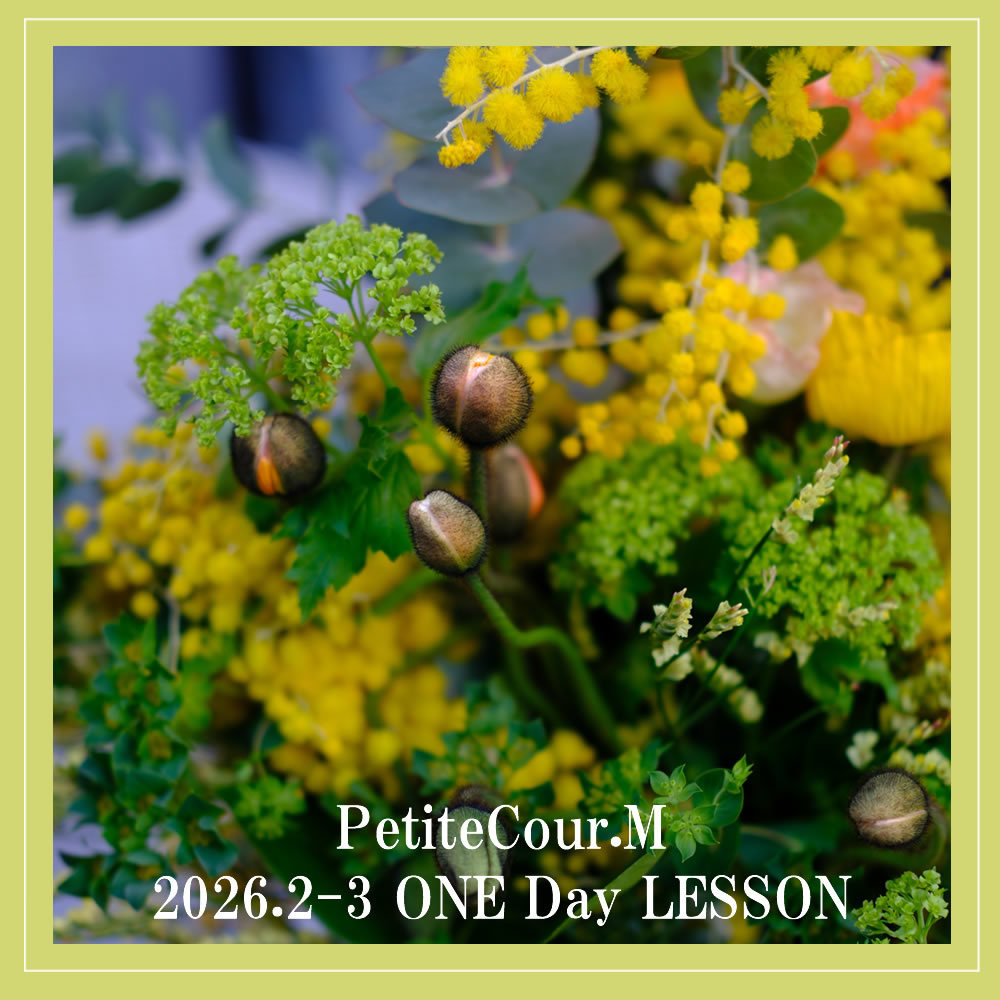 季節限定の８、９月写真