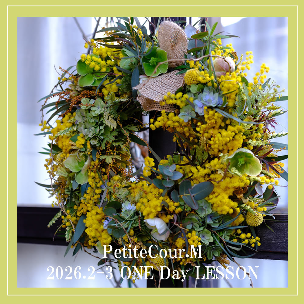 季節限定の８、９月写真